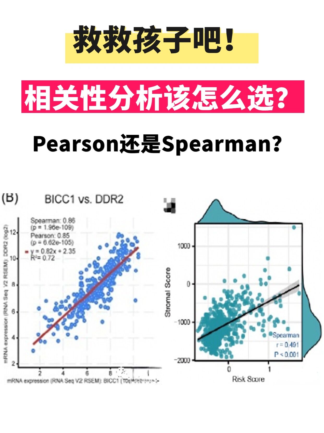 相关性分析该怎么选?pearson还是spearman?