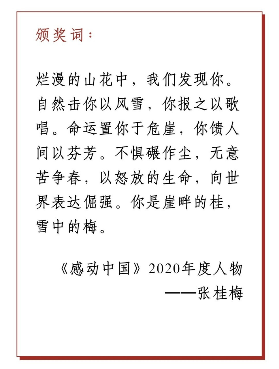 【教育人物】张桂梅 张桂梅  【颁奖词】 烂漫的山花中,我们发现你.