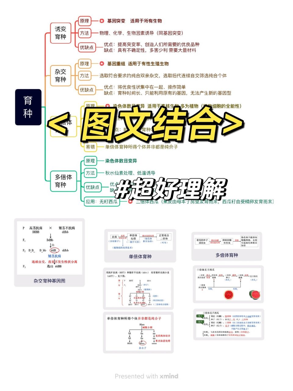 变异与育种思维导图图片