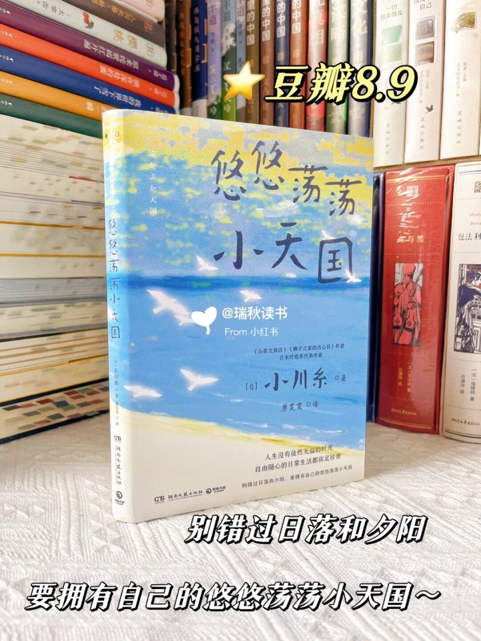 78认识小川糸,是从《山