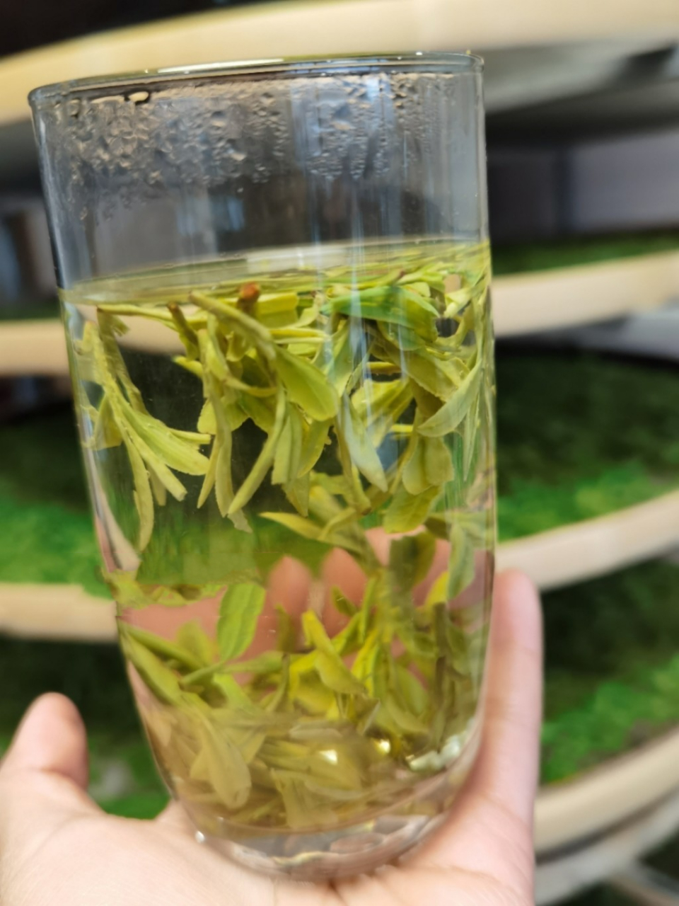 还是建议大家, 前两三泡用凉到90度左右的水温, 这样冲泡的茶口感更鲜