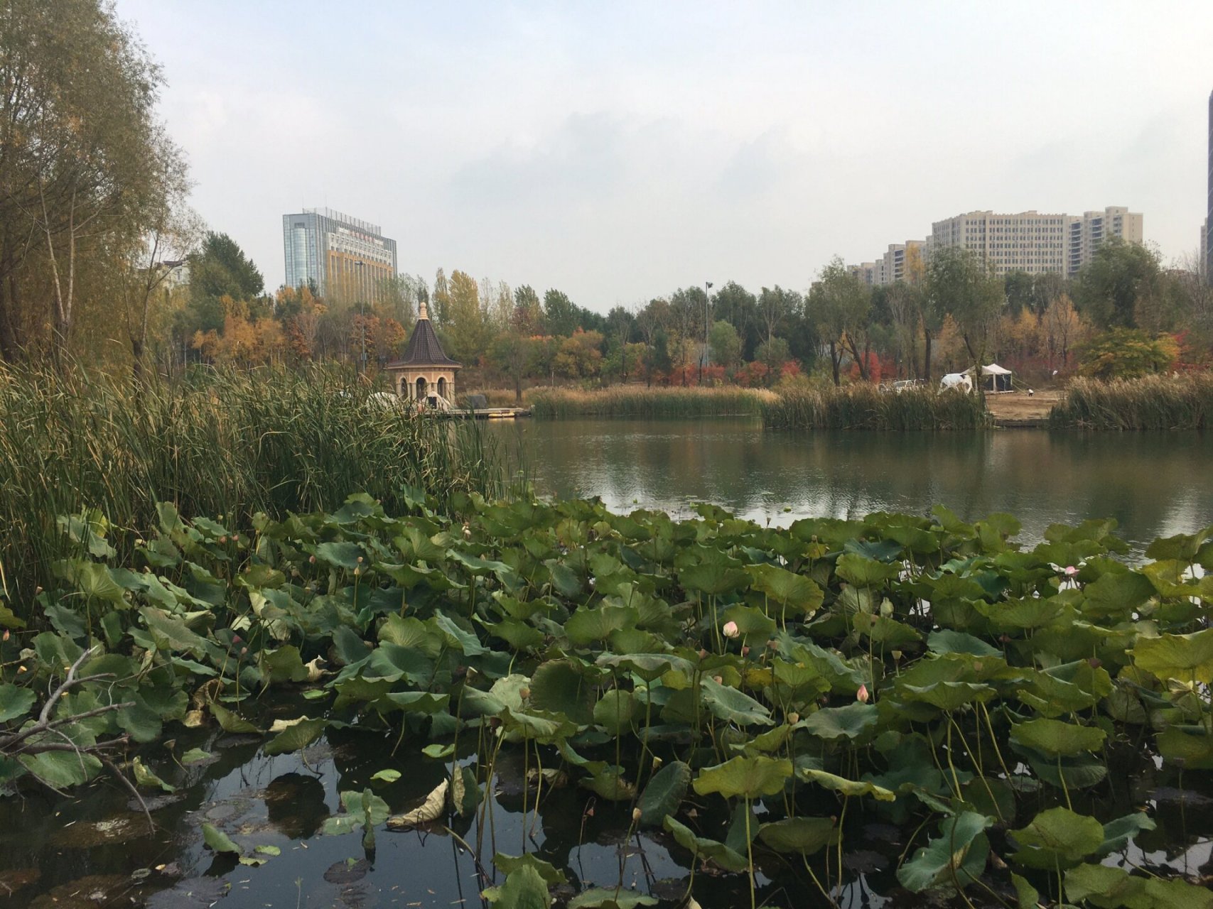 ——翠泉源 南三环和卫星路之间的翠泉源,帐篷林立