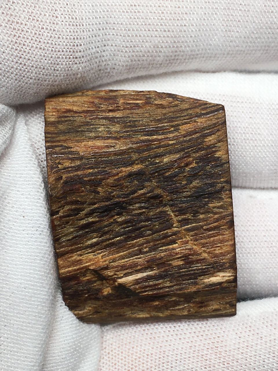 最顶级的沉香,芽庄白奇楠 芽庄白奇楠 沉香只分三种,一种是芽庄白棋