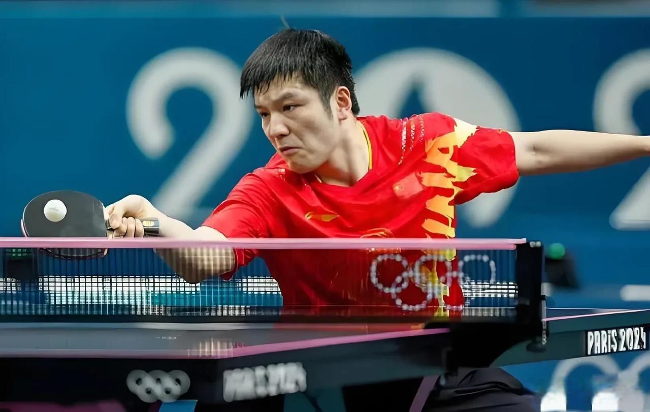 这真的是樊振东的粉丝做的吗?