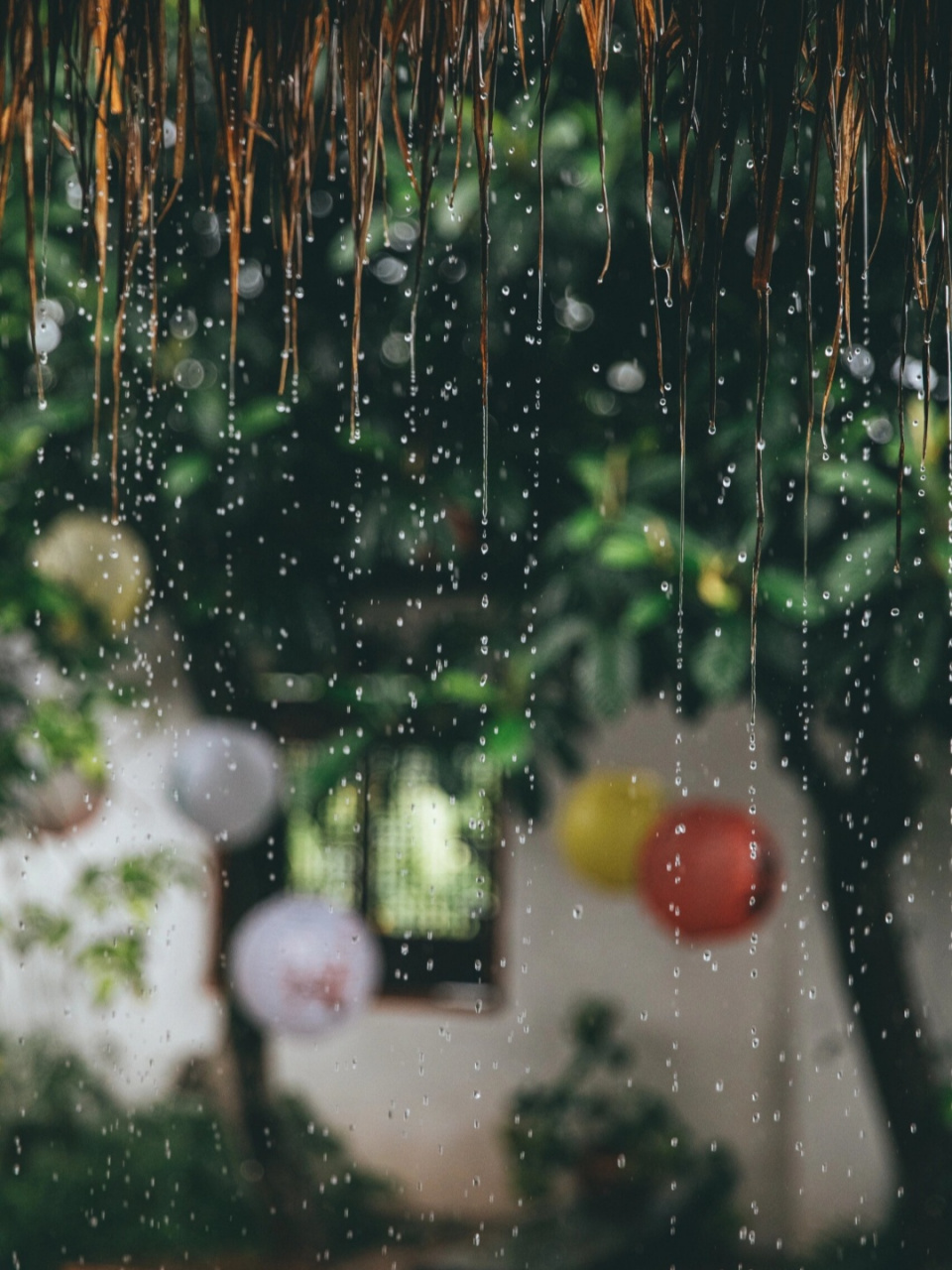 下雨天却温馨的图片图片