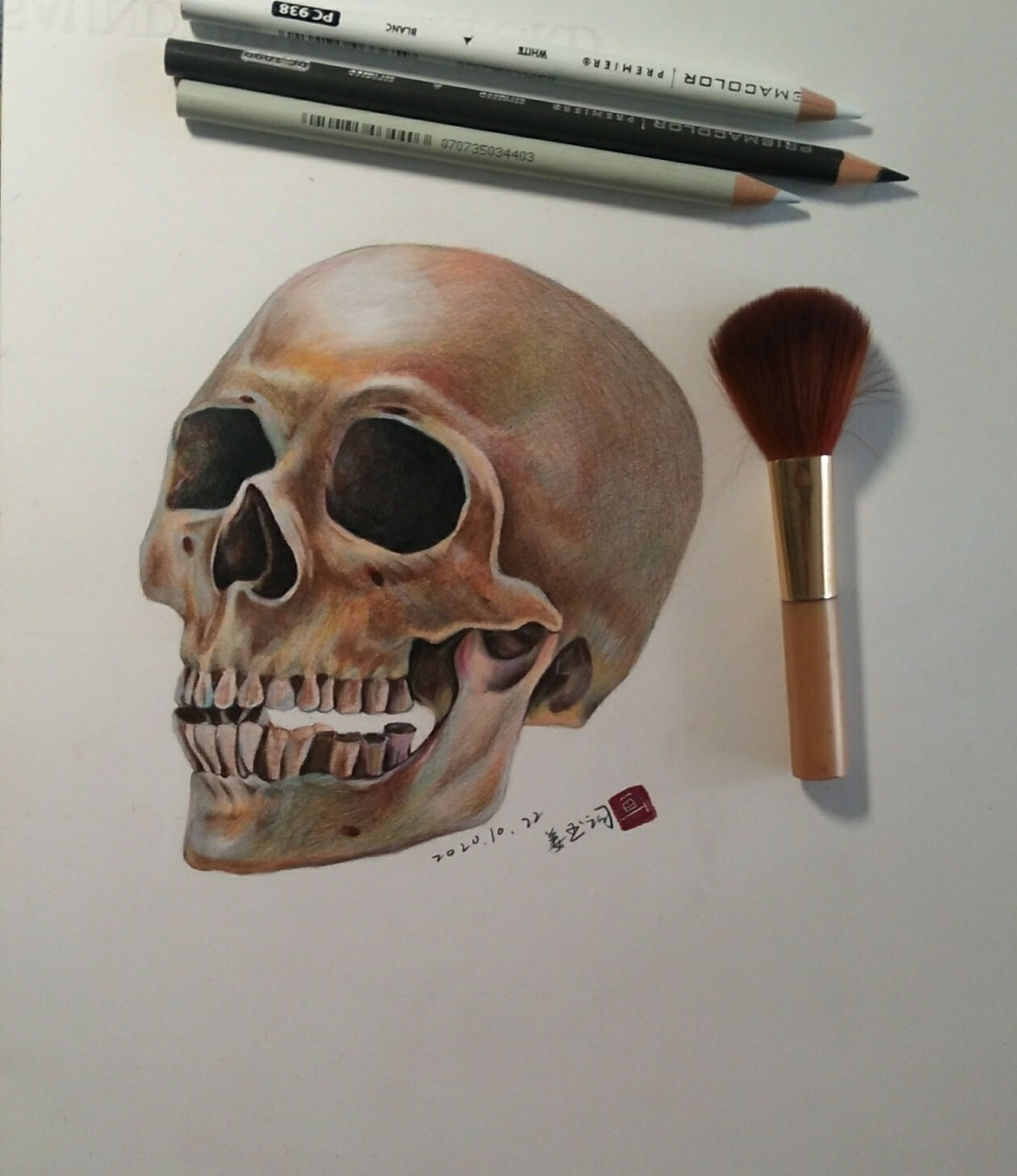 彩铅画:骷髅头 彩铅画:头骨 就是因为闺女的一句话:好可爱啊!