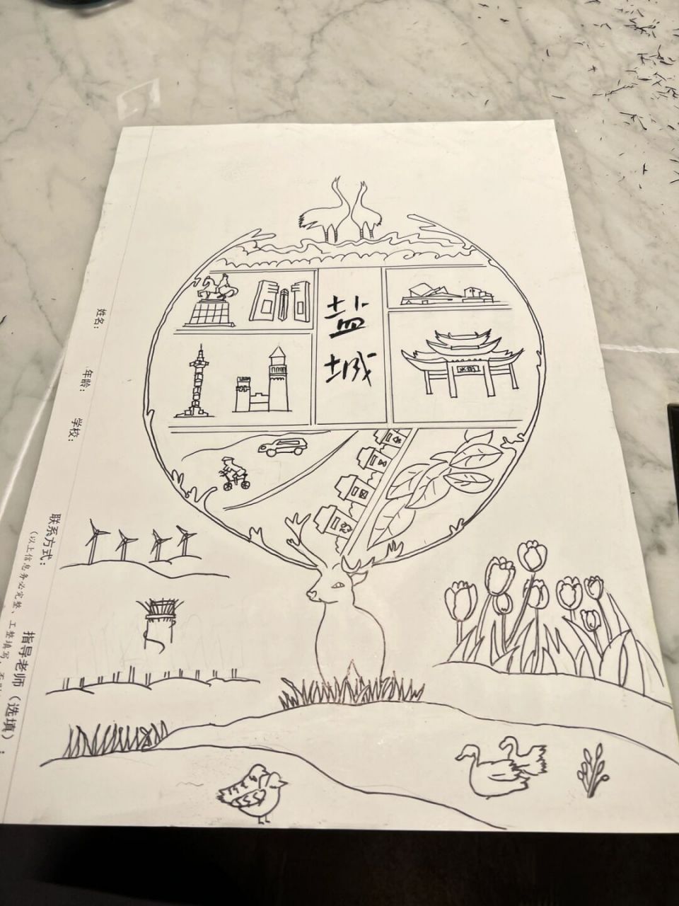 我心中的沿海城市-家乡盐城