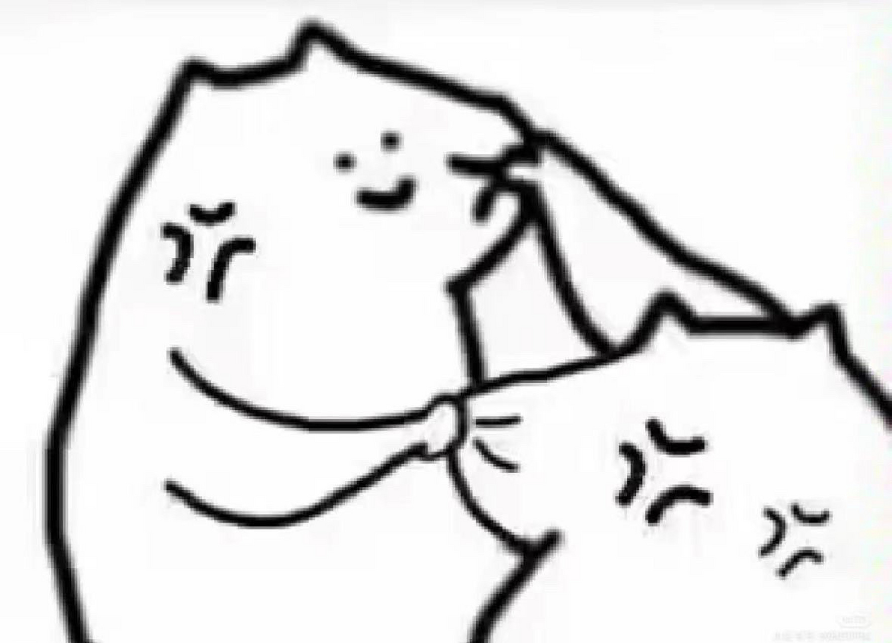 什么猫whatcccat 有没有姐妹有什么猫表情包的群啊 别逼我求你