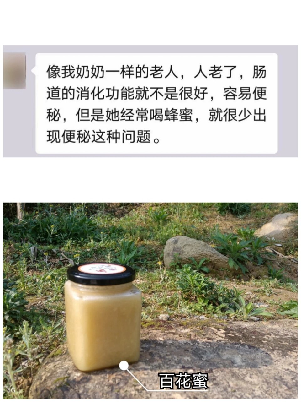 老人喝蜂蜜的好处是什么(老年人喝蜂蜜水有什么好处和坏处蜂)