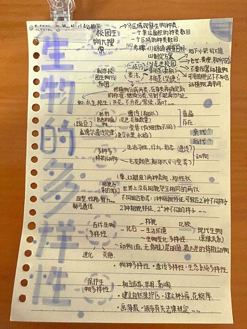 六下 小学科学 《生物的多样性》思维导图 97blue97 假装我没发过