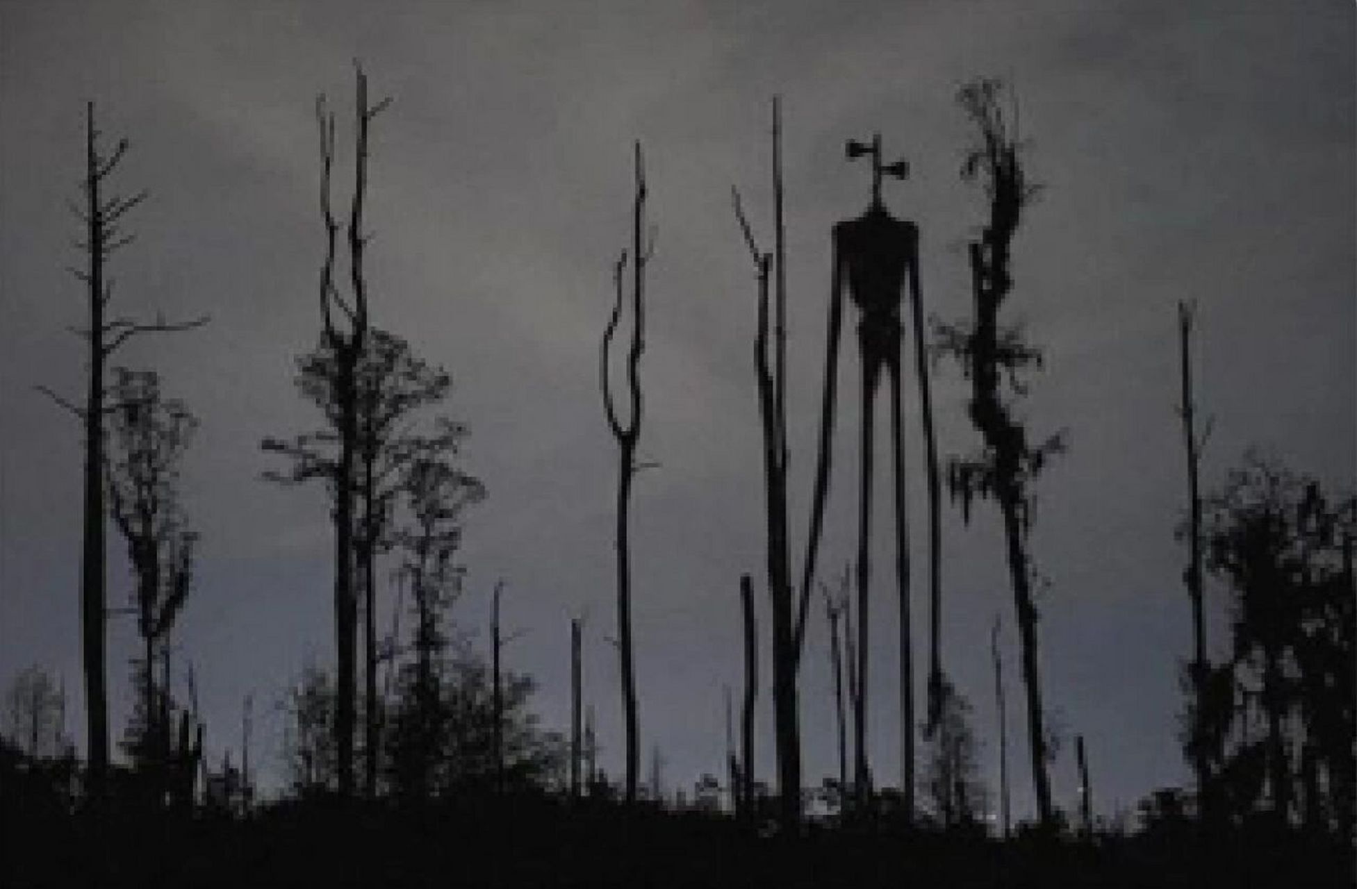 那个警笛头的原照片是这个 那个警笛头的原照片是这个