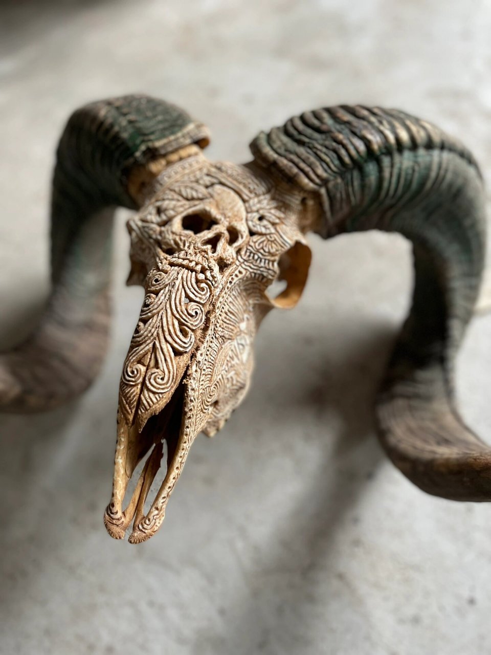 羊头新骨雕,软装 装饰品定制 骨质特别好的羊头雕刻起来就是好 定制