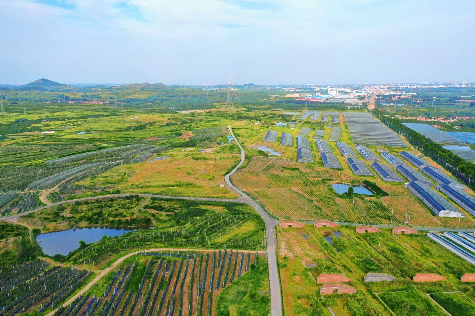 位于胶州市里岔镇和洋河镇交界处的山洲水库与艾山相依相望,万亩林场