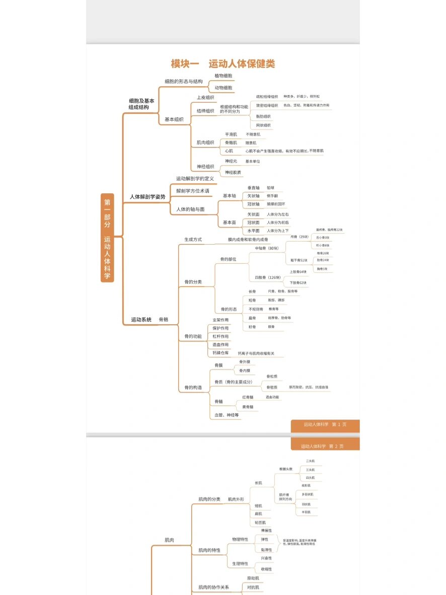 教招体育思维导图,让知识结构更清晰
