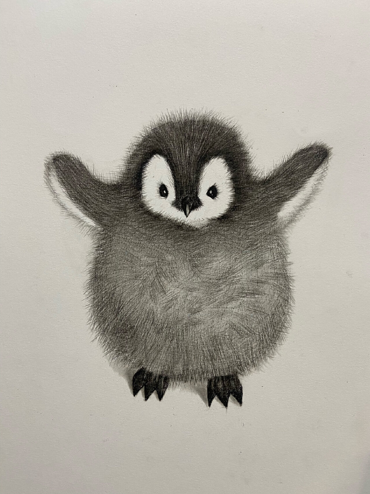 素描动物教学(企鹅篇)附详细过程图 毛绒绒的小企鹅教程来了!