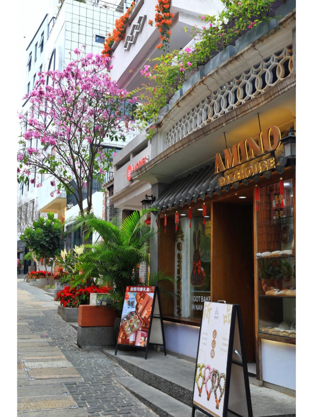 深圳 | 南头古城,文艺小资小店集中地