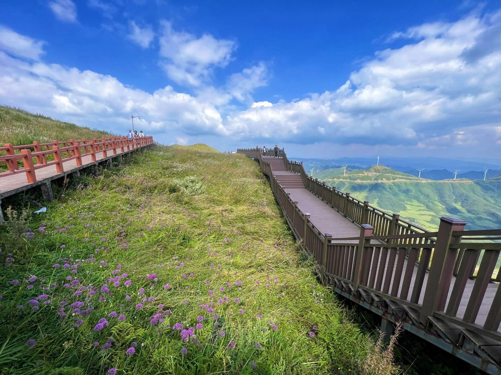 阿西里西韭菜坪94   门票45,观光车25,缆车40 大韭菜坪位于毕节市