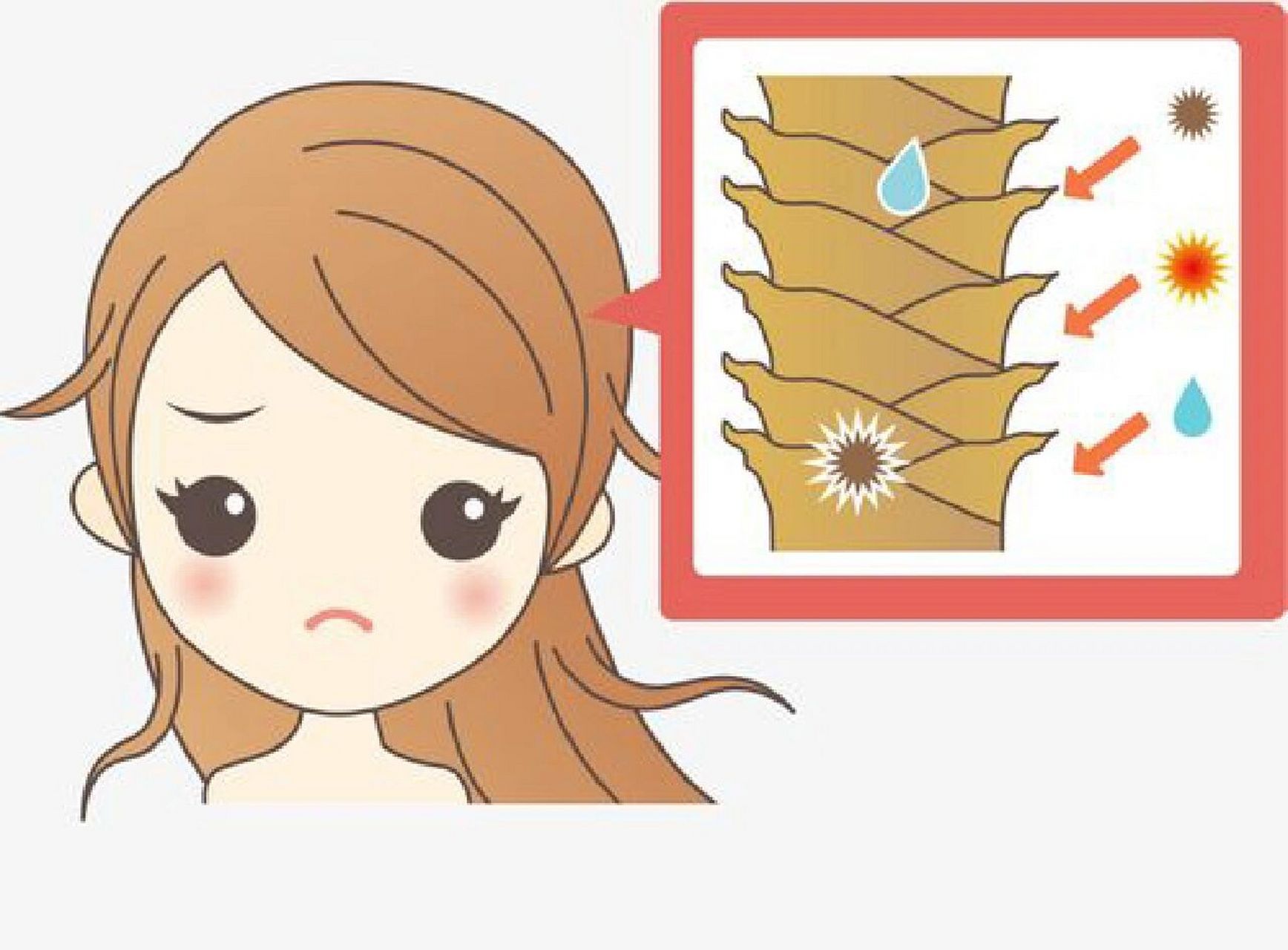 头发干燥,变细,易断脱发;可能缺乏:蛋白质,能量,脂肪酸,微量元素锌.