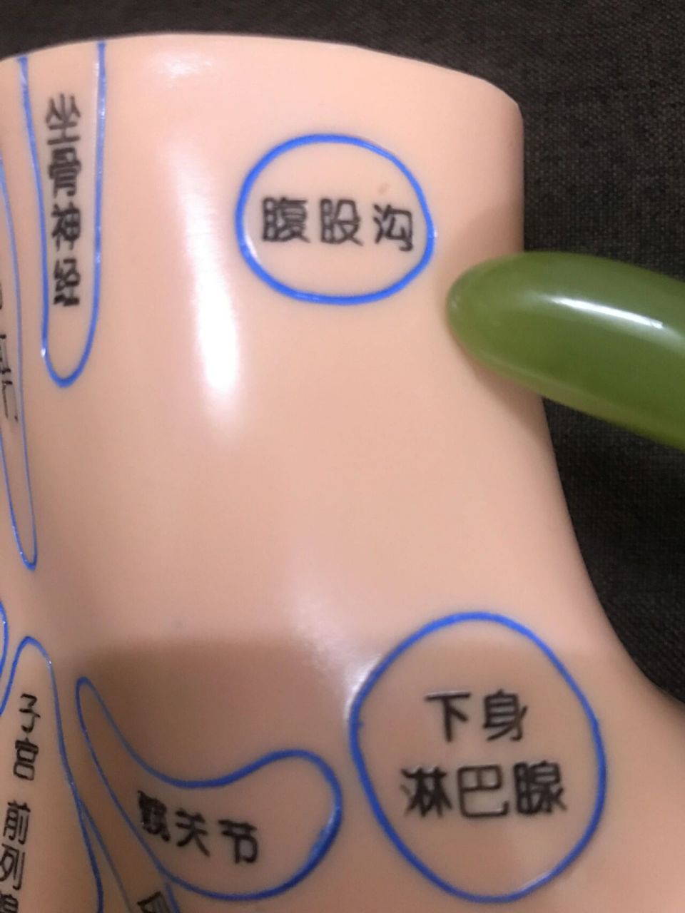 足底按摩 腹股沟反射区位置与功能      腹股沟: 位置:位于双小腿胫骨