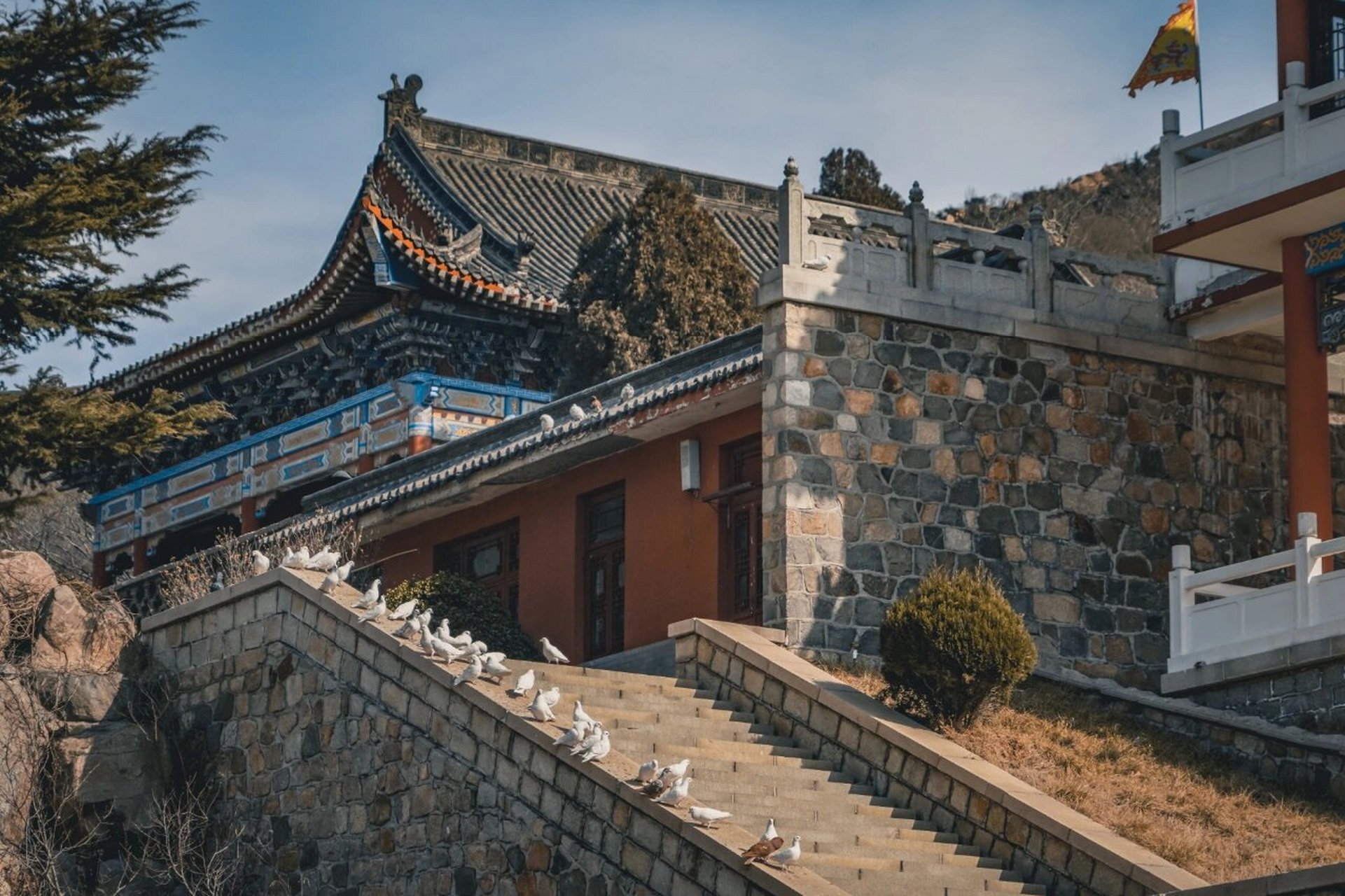 莱州大基山森林公园 -风光摄影- 大基山,是全球华人中过,戈,柯,任等