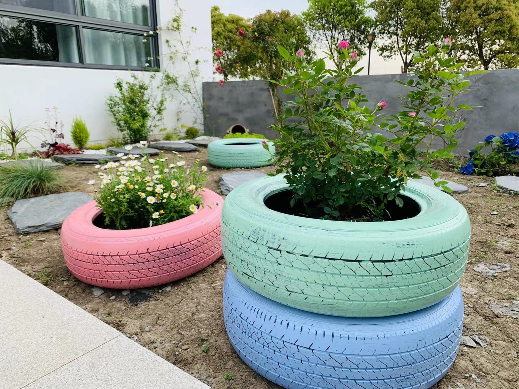废旧轮胎改造花盆 废旧的轮胎,清洗一下,刷上马卡龙颜色的丙烯颜料,再