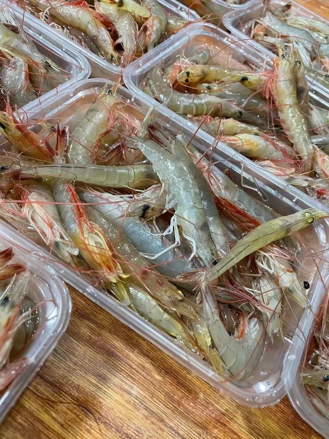 活速小麻虾 ¥128元3斤 杂选5斤包邮