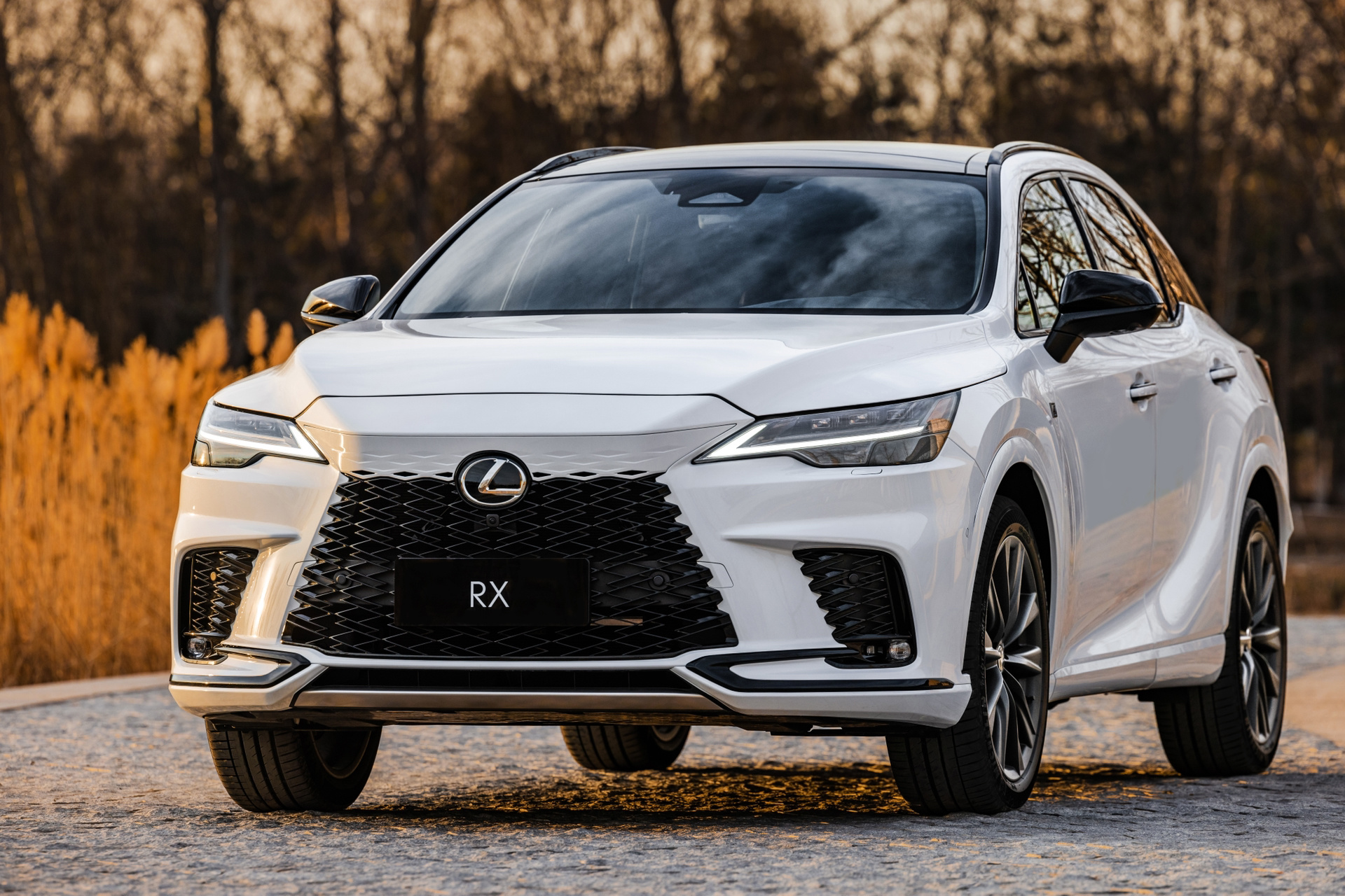 lexus雷克萨斯中大型豪华suv—第五代rx 全新混电平台 中大型豪华suv