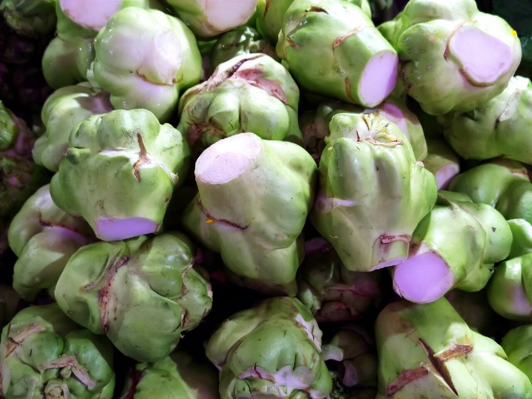 榨菜和儿菜 榨菜和儿菜是不是同一种菜?不是.