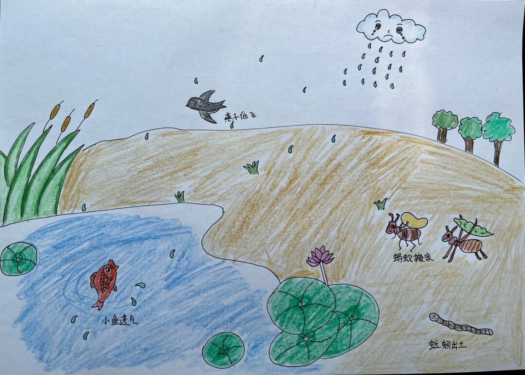 燕子低飞,蚂蚁搬家,小鱼出水