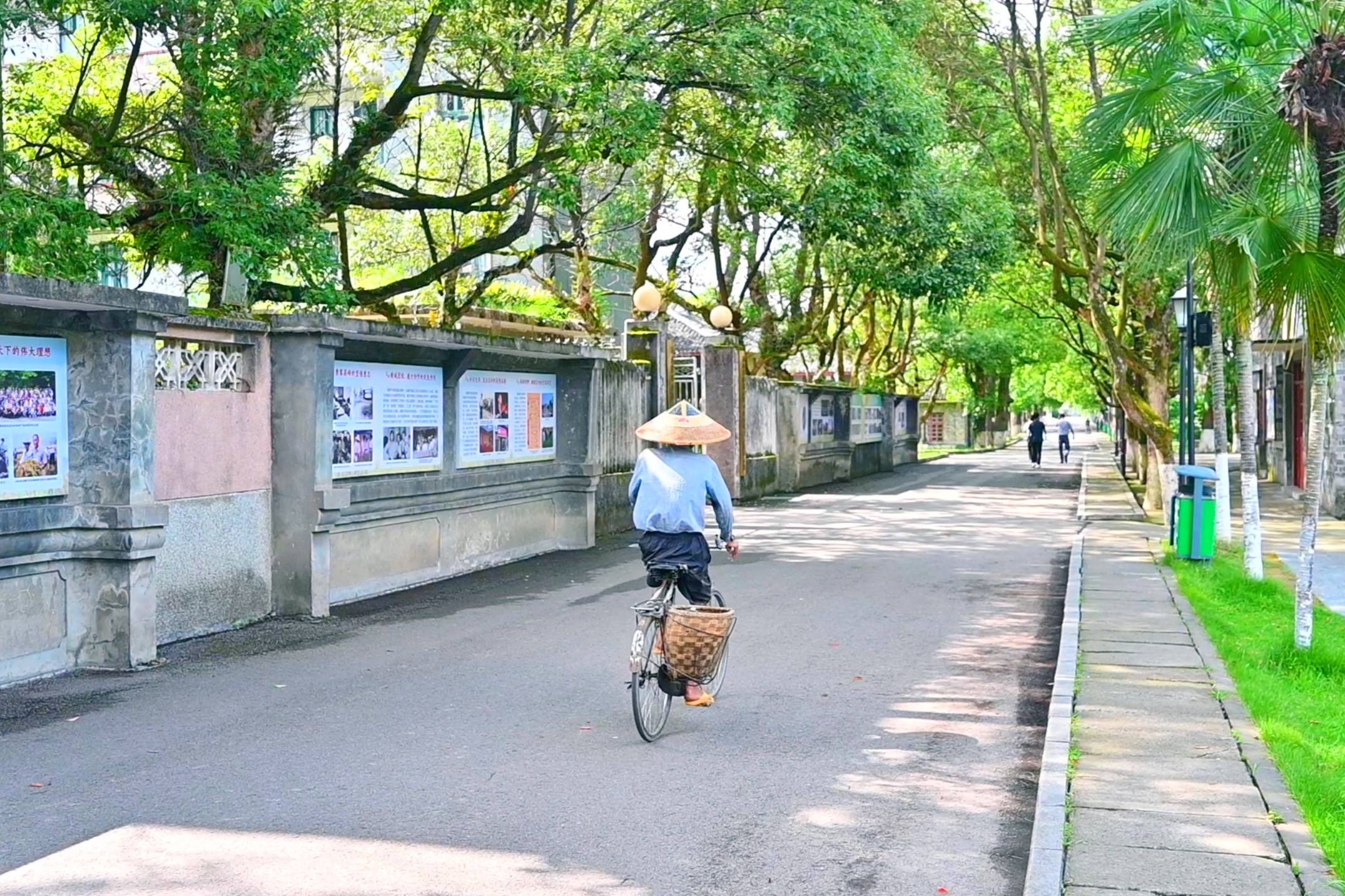 江安县洗脚田街图片