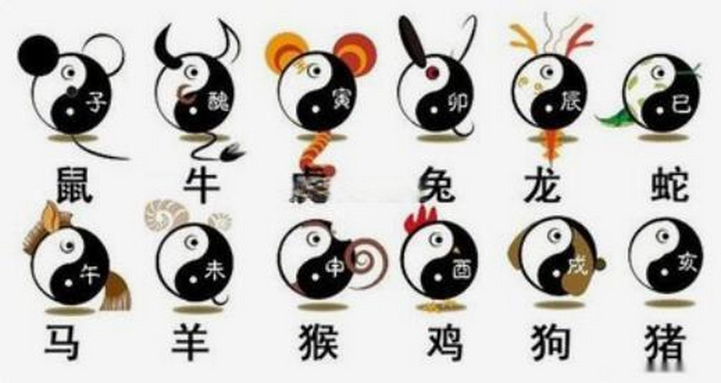 生肖属鼠一生运势(属鼠一生运势及运程)