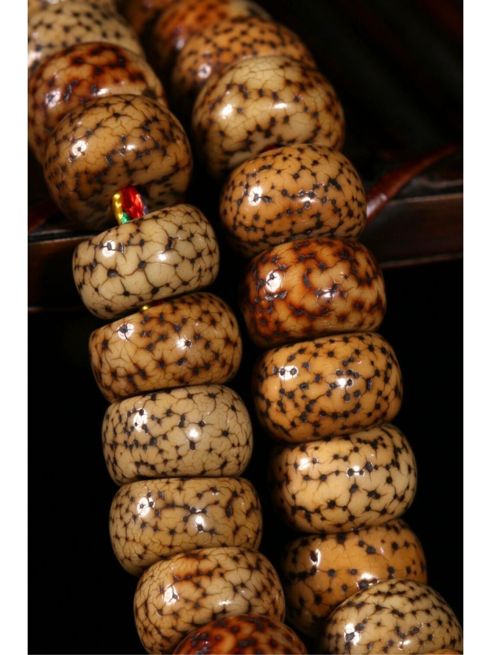 顶级高密度星月菩提 星月菩提