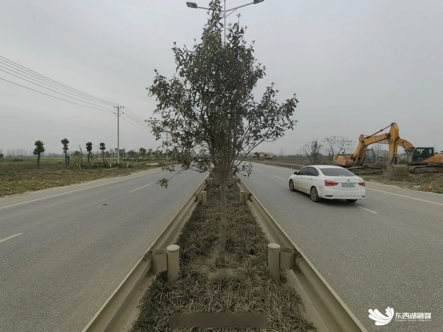 近日,记者从走马岭街道获悉,东西湖区新径线大道良湖垸段景观建设