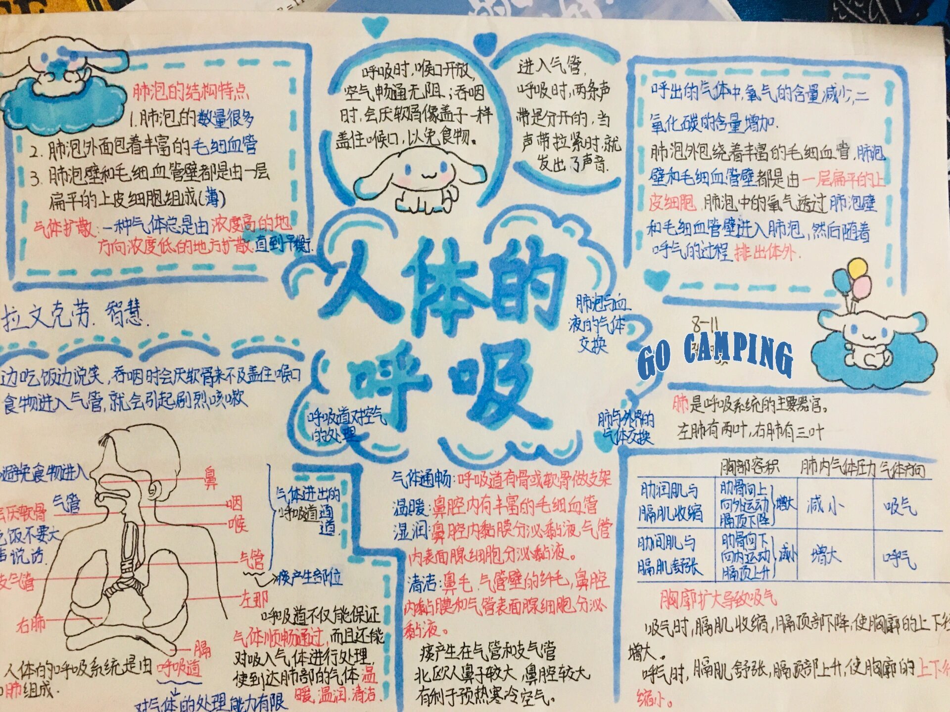 七下生物手抄报