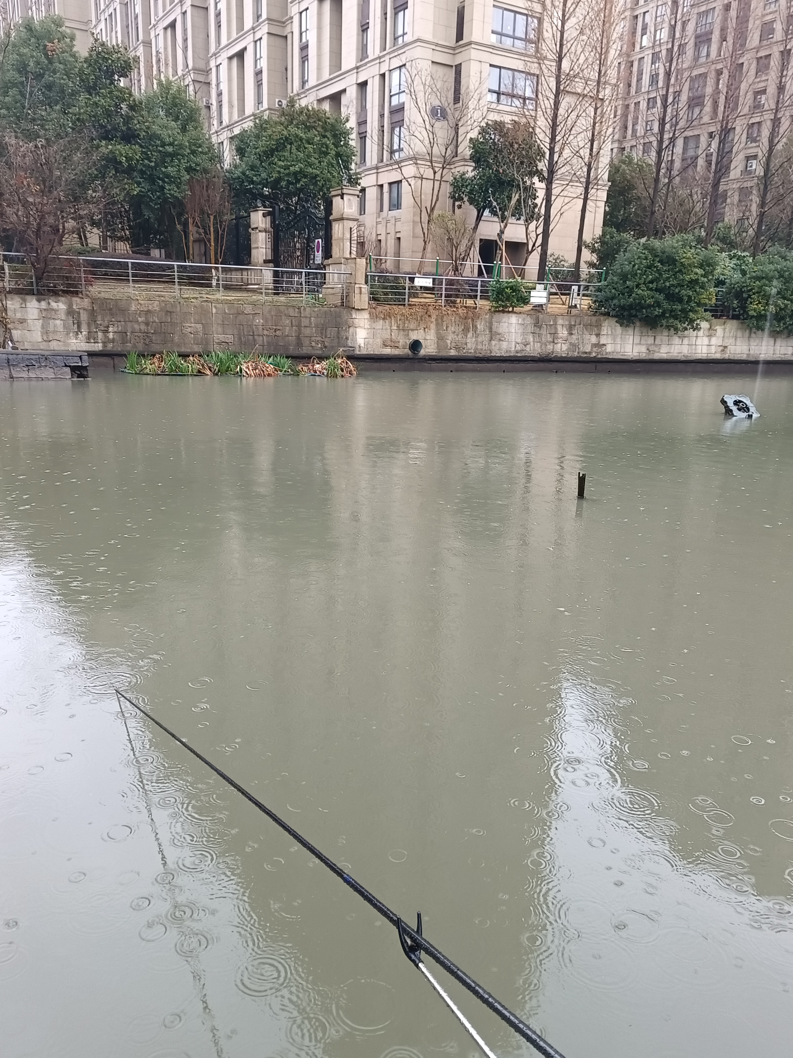 雨中垂钓图片图片