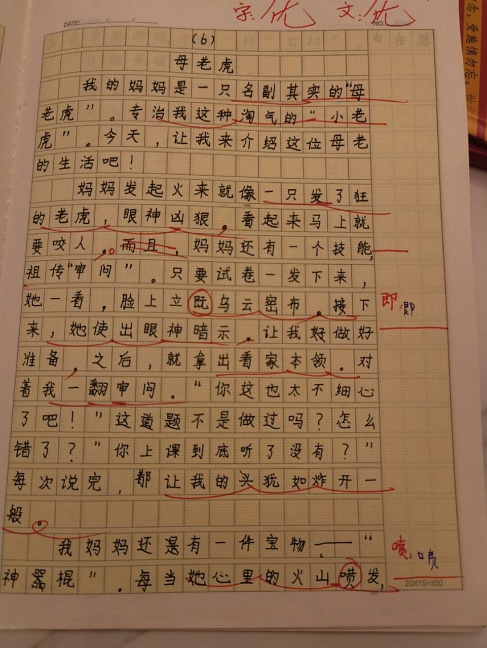 三年级下册语文作文 描写人物—我的妈妈《母老虎》