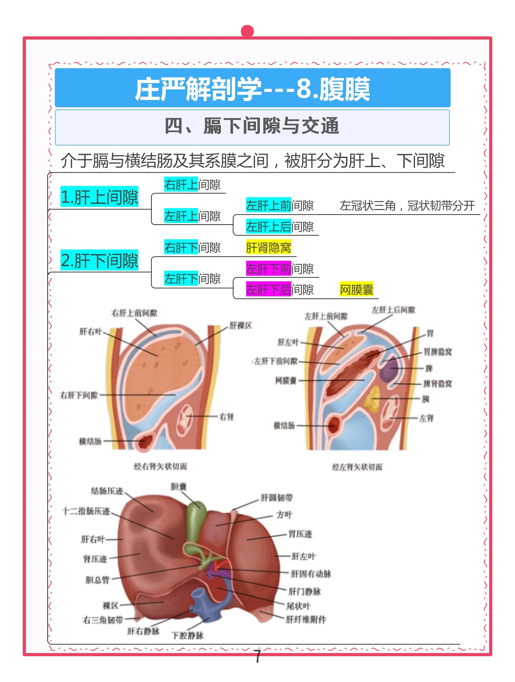 解剖学笔记