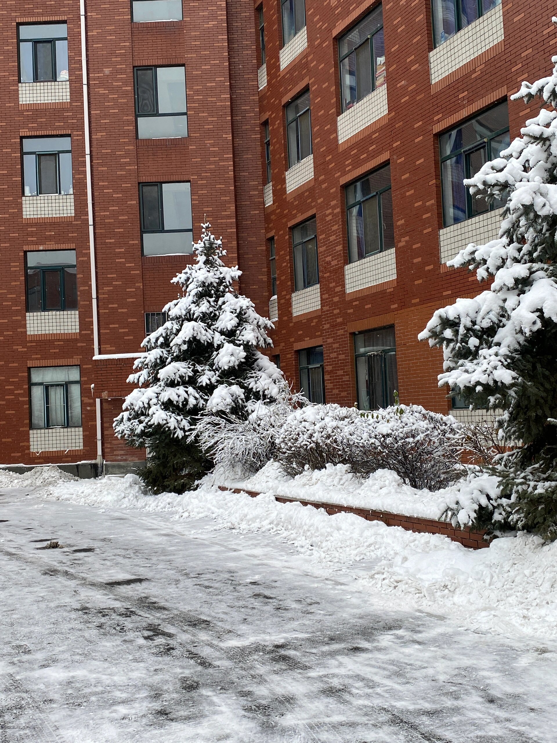 长春理工大学雪景图片