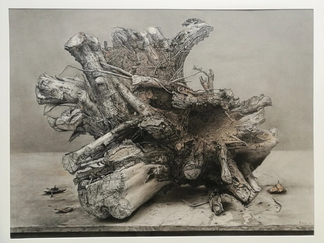 素描 《树根写生》