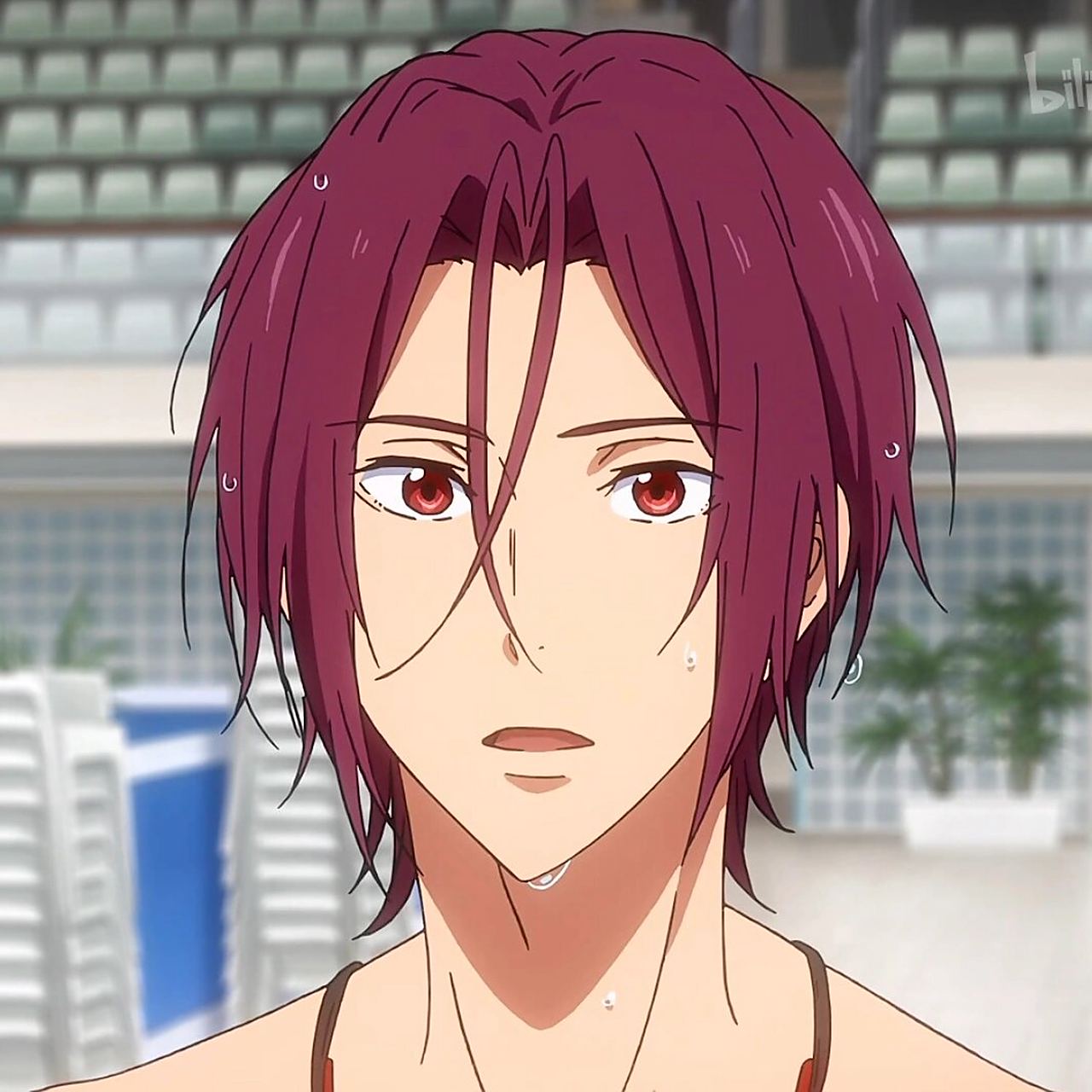 松冈凛头像3 迷死我了小鲨鱼! 哎呀!自己头像被发现了呢