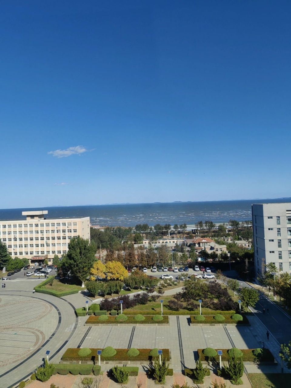 大连职业技术学院 每天的景都不一样