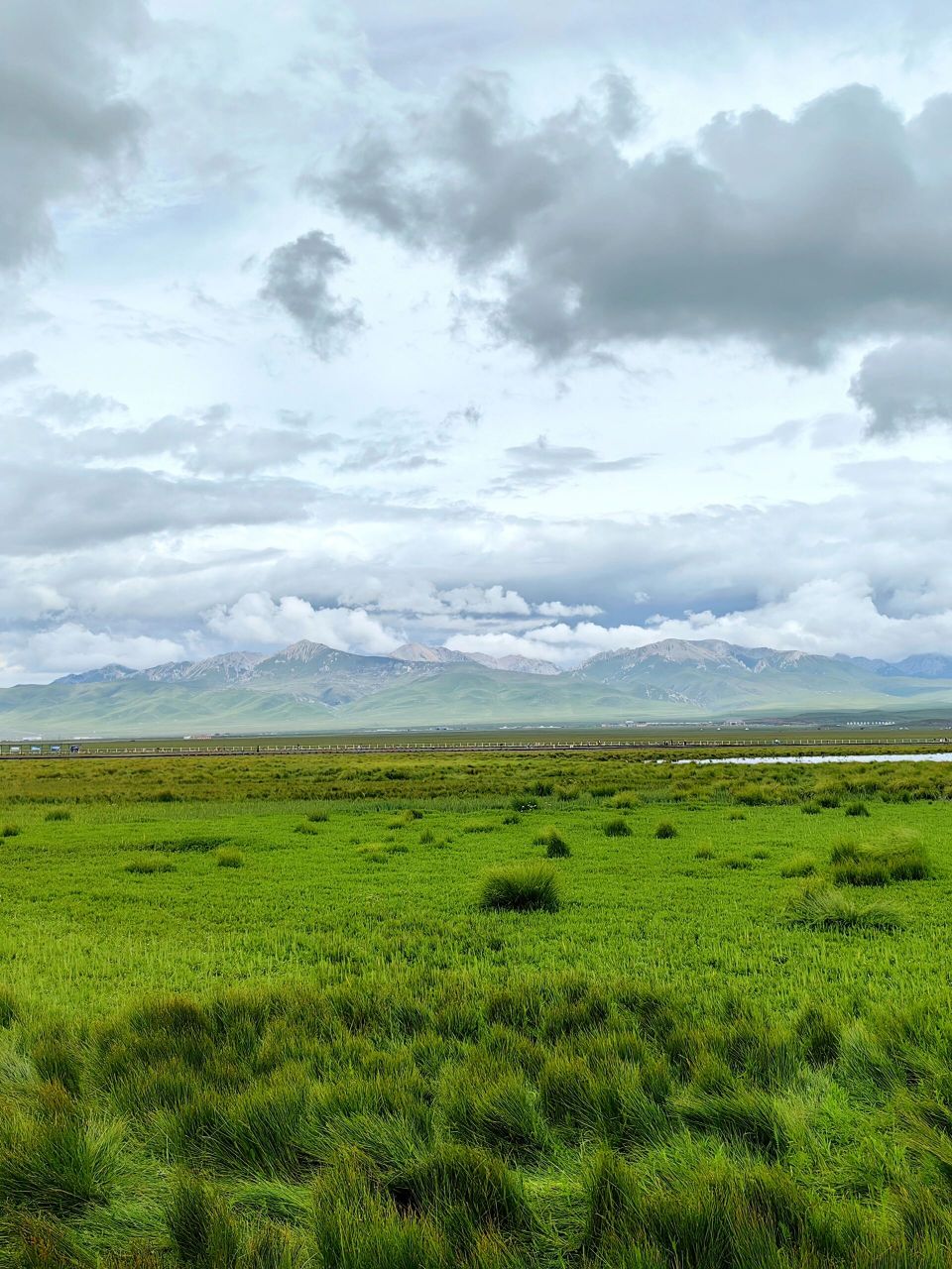 若尔盖花湖攻略9015(文末附9015) 90门票: 全票95110