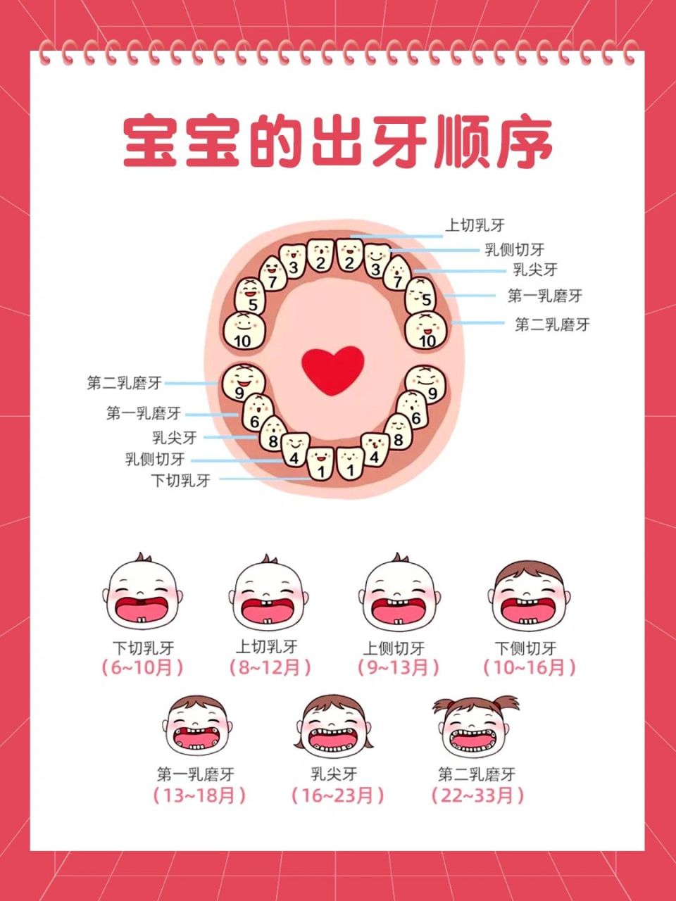 宝宝出牙顺序 宝宝的第一颗乳牙萌出的时候,相信很多新手妈妈都会觉得