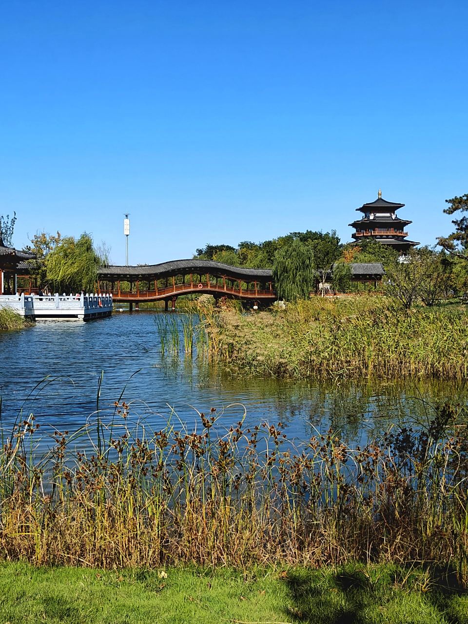 开车一个半小时‖北京周边雄安悦容公园 免费的就是最棒哒 推荐指数