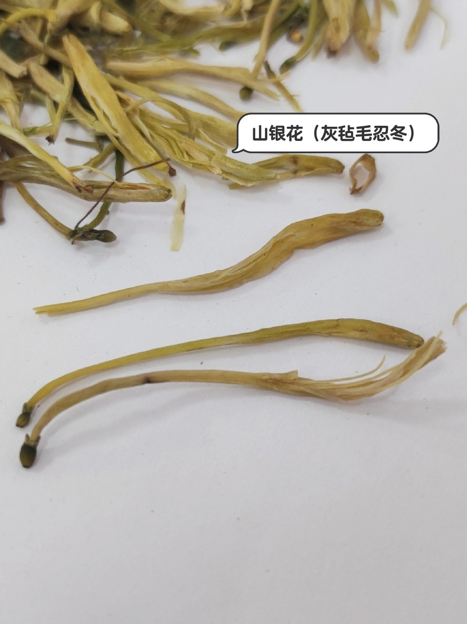 山银花的来源,性状特征 来源 	 山银花为忍冬科植物灰毡毛忍冬,红腺