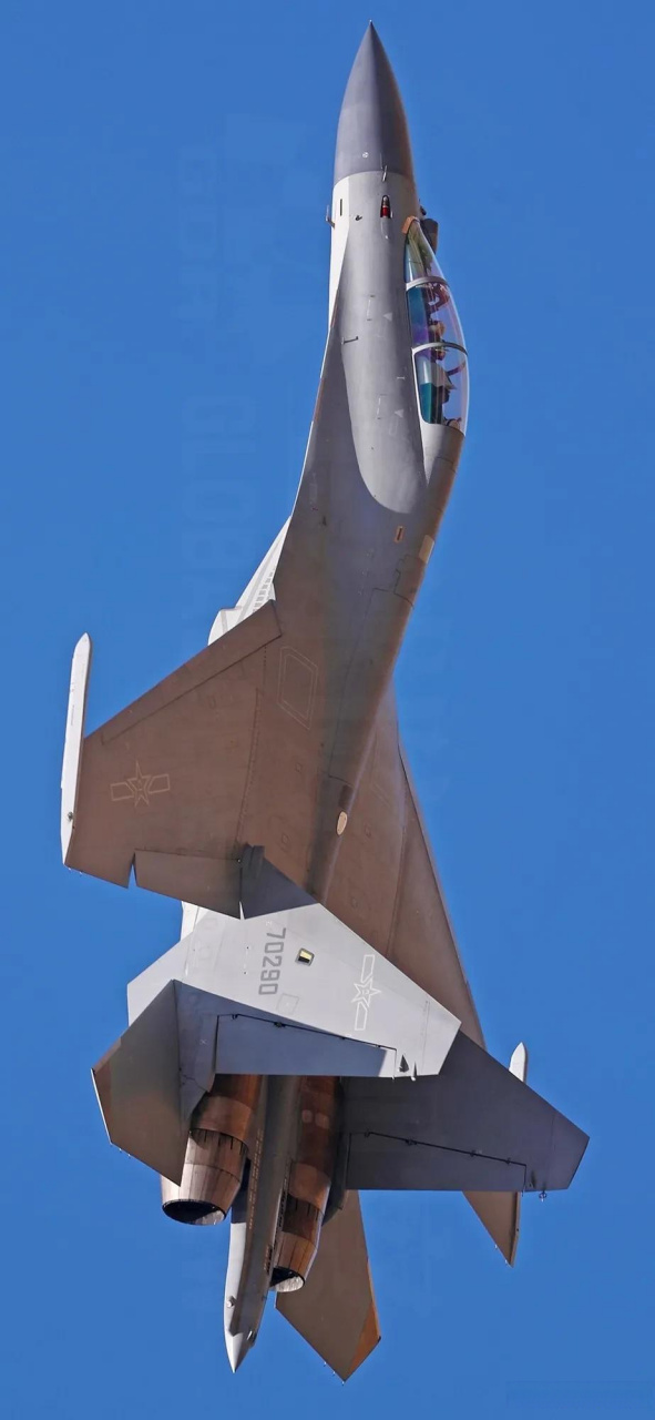 加拿呆:歼-16战斗机喷我一脸箔条 石榴姬:来都来了,总不能让客人空着