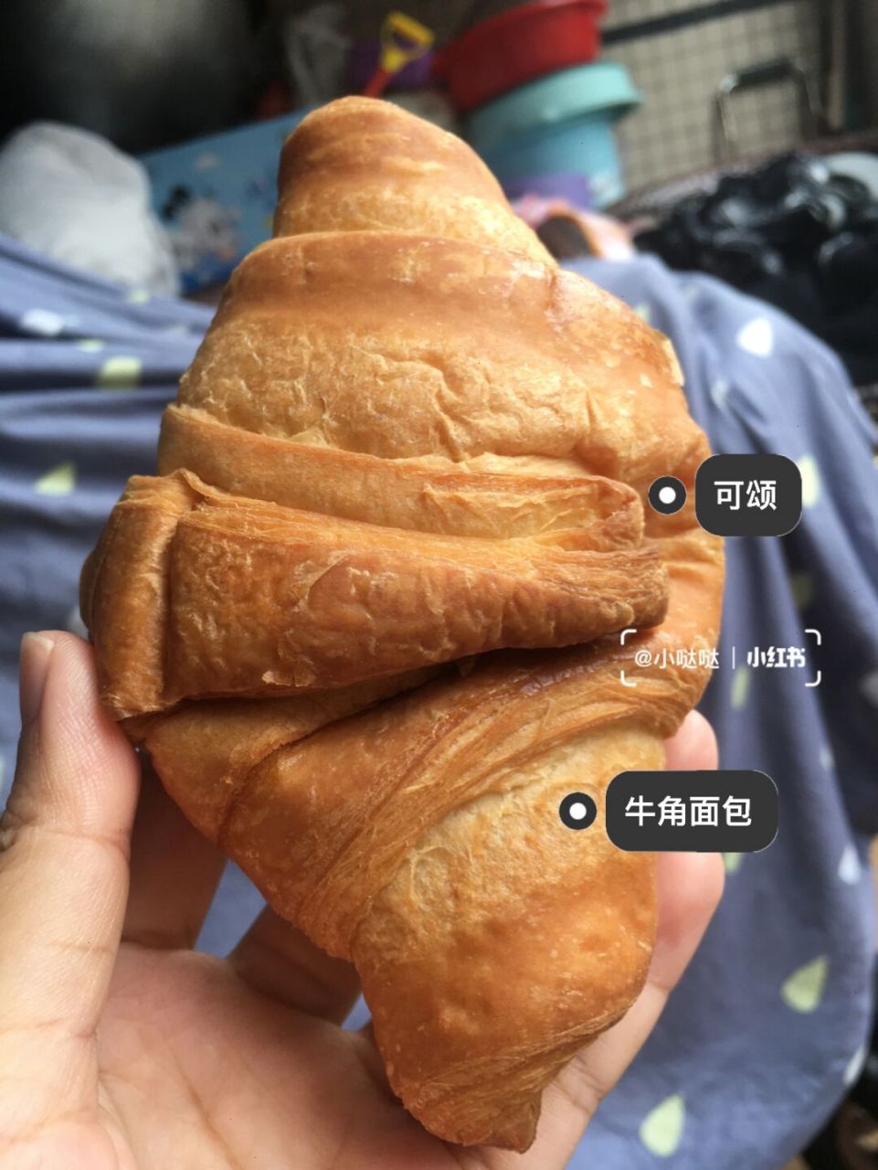 无面粉,低碳水,高蛋白 很有嚼劲,加肉松海苔,都很好吃 吃一两个,顶饱