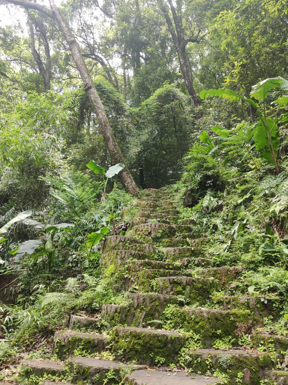 福建竹峰寺图片