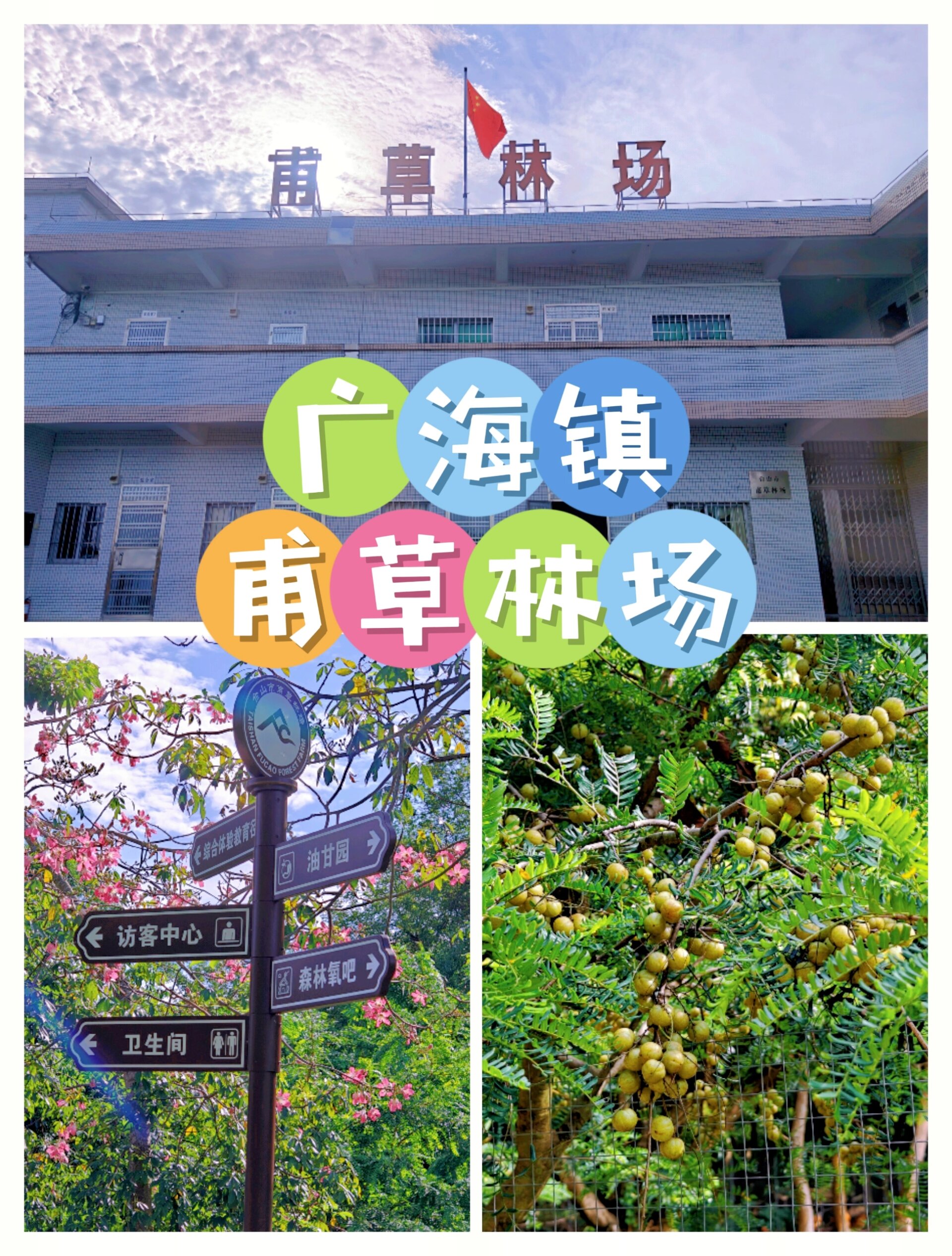 台山旅游|台山广海镇~甫草林场