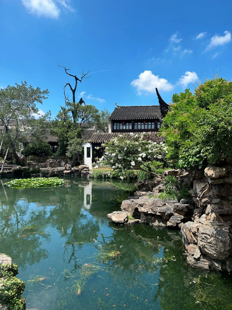 苏州园林游玩推荐 推荐【网师园】 听说拙政园人挤人,索性没去,直接去